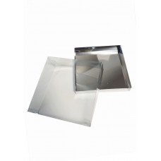 Коробка "Акваріум" срібло, 170*170*50мм Коробка "Акваріум" срібло, 170*170*50мм