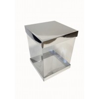 Коробка "Панорама" срібло, 200*200*250