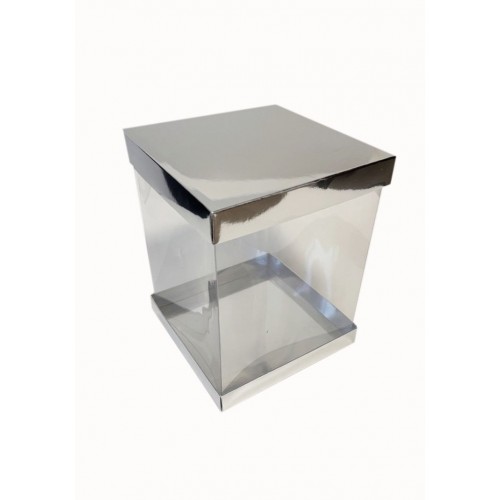 Коробка "Панорама" срібло, 200*200*250